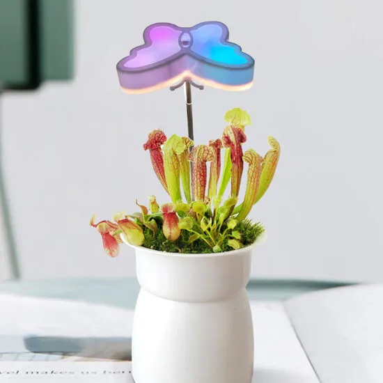 상품이미지